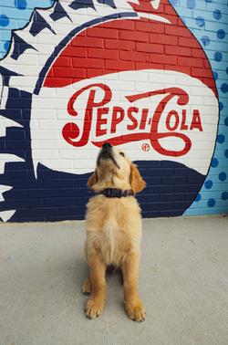 A dog sits in front of a mural painted by MayX students